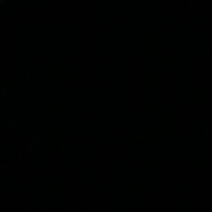 Meet your Posher, Zyonna